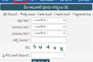 Check AP Adangal at meebhoomi.ap.gov.in